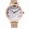 Milliotandco Fiona Rose Gold Mesh Strap Watch (Salmon)