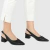 Milliotandco Evonne Pointed Toe Ballerina & Flats (Black) Shoes