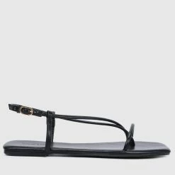 Milliotandco Shoes Charlotte Open Toe Sandals & Flip Flops (Black)