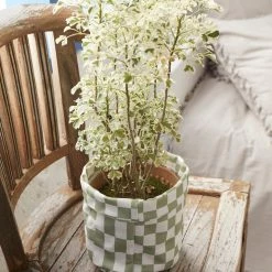 Milliotandco The Home Edit Bliss Planter Bag Medium (Green)